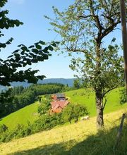 Erholungsblick Bild 7