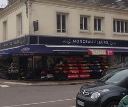 Monceau fleurs image 4