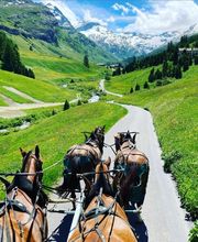 Clalüna-Sils Kutschenfahrten Bild 10