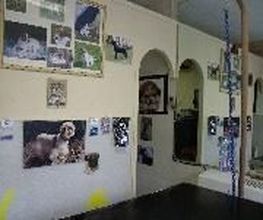 Aline Toilettage image 16
