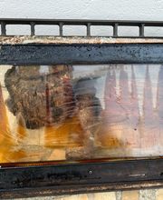 Am Ramonage image 18