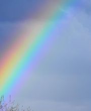 Chaves Palhares Colette image 2