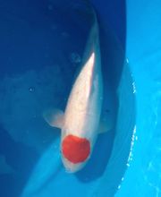 Zoowelt Bechtheim Bild 1