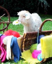 Amar Gabriel image 1