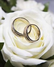 Bullo Luca Fiori Bild 2