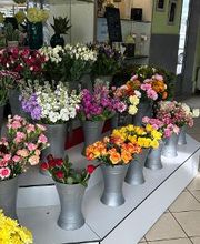 Blumen Haider Bild 3