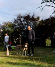 Agil'Canin 36 image 7