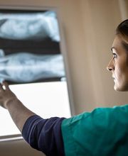 Serveis Veterinaris Esparreguera imagen 2