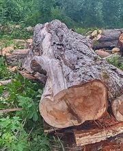 SARL Beton-veyrier image 4