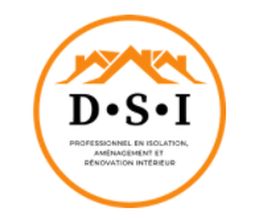 D.S.I image 1