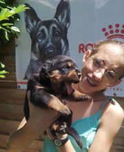 Elevage Des Princes De L'albinol image 16