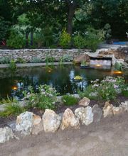 Alex Paysage image 20