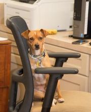 Beauchamp Animal Hospital image 2