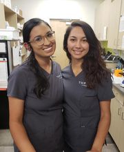 Thrive Pet Healthcare - Falcon image 8