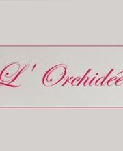 L'Orchidée image 11