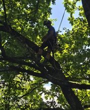 Passion Forêt SA Bild 8