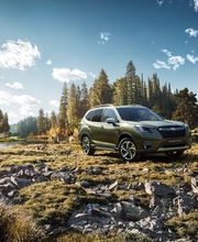 Taller Oficial Subaru Arimotor Tenerife Las Chafiras imagen 6