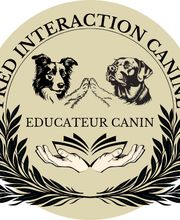 FRED INTERACTION CANINE image 4