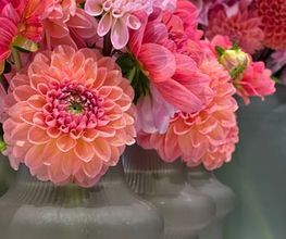 Fleur au Lac GmbH Bild 6
