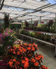 DELBARD TONNERRE image 10