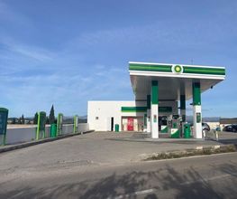 bp imagen 3