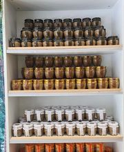 DELICIAS DEL BOSQUE imagen 5