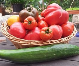 Your Nutritional Therapist Bild 5