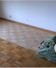 BauPro Altburg Bild 8