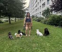 CoBe Dog Bild 3