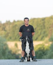 Hundeschule You And Your Dog Bild 2