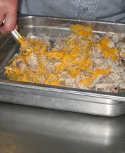 Schot Kwaliteits Vishandel - A Quist