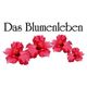 Das Blumenleben Inhaberin Sandra Hailfinger