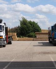 Meneboo Bois image 5