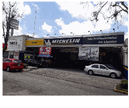 TIREX MICHELIN Américas imagen 1