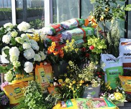 Blumen Metzler | Teisendorf Bild 3