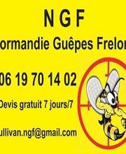 NGF Normandie Guêpes Frelons image 2