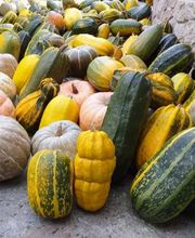 Carnicería Casasoá imagen 8