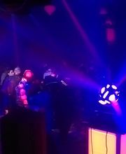 NENESS SONORISATION image 6