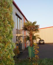 Alpha Techno Massagesessel GmbH Bild 15