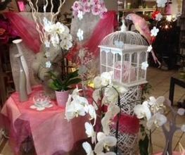 Petite Fleur image 5