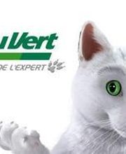 Feu Vert Evolu Car 64 image 1