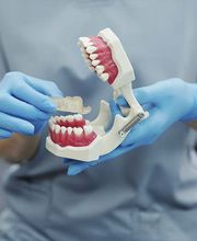 Azoy Dental SLP imagen 8