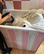 Chez Bibiche image 4