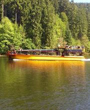 Vedettes Panoramiques du Saut du Doubs image 11