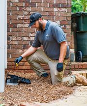 Bizzy Bee Exterminators image 1
