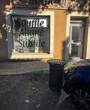 Inaya Qi   Résonance Subtile image 1