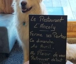 Bar Restaurant L'Ancoly image 6