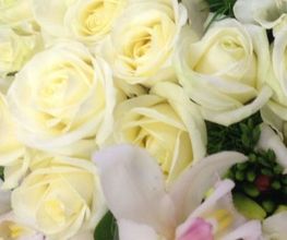 Aromessence image 1
