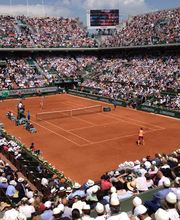 Global Sports Advocates, LLC image 6