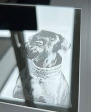 Vollmar Reklame AG Bild 6